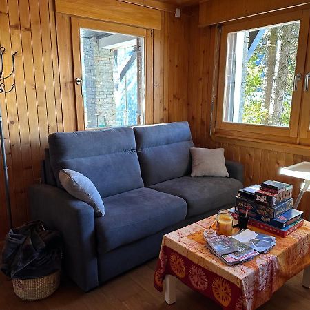Chalet Edelweiss A Saint-Martin, Val D'Herens Luaran gambar